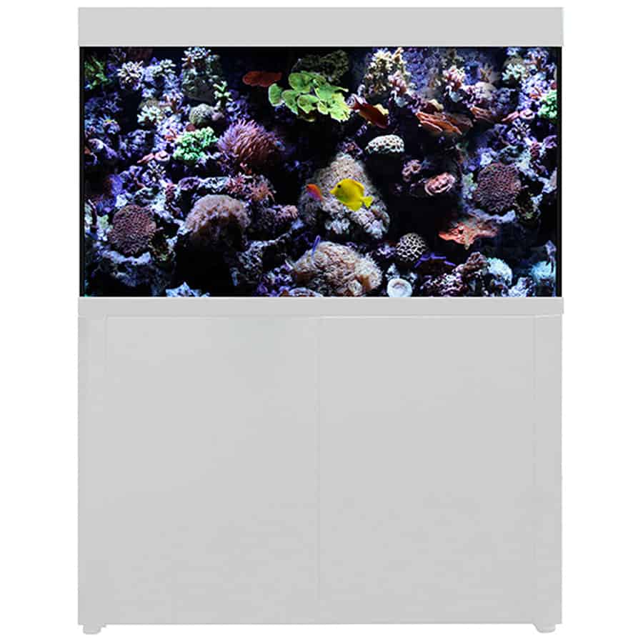 400 litre 2024 fish tank