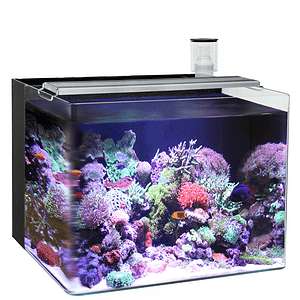 Ocean Free Nano Complete Marine Aquarium Kit 5 96ltr