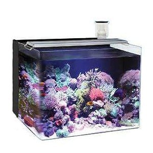Ocean Free Nano Marine Black 63L