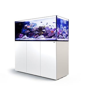 Red Sea Peninsula P650