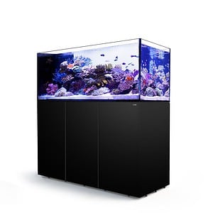 Red Sea Peninsula P650