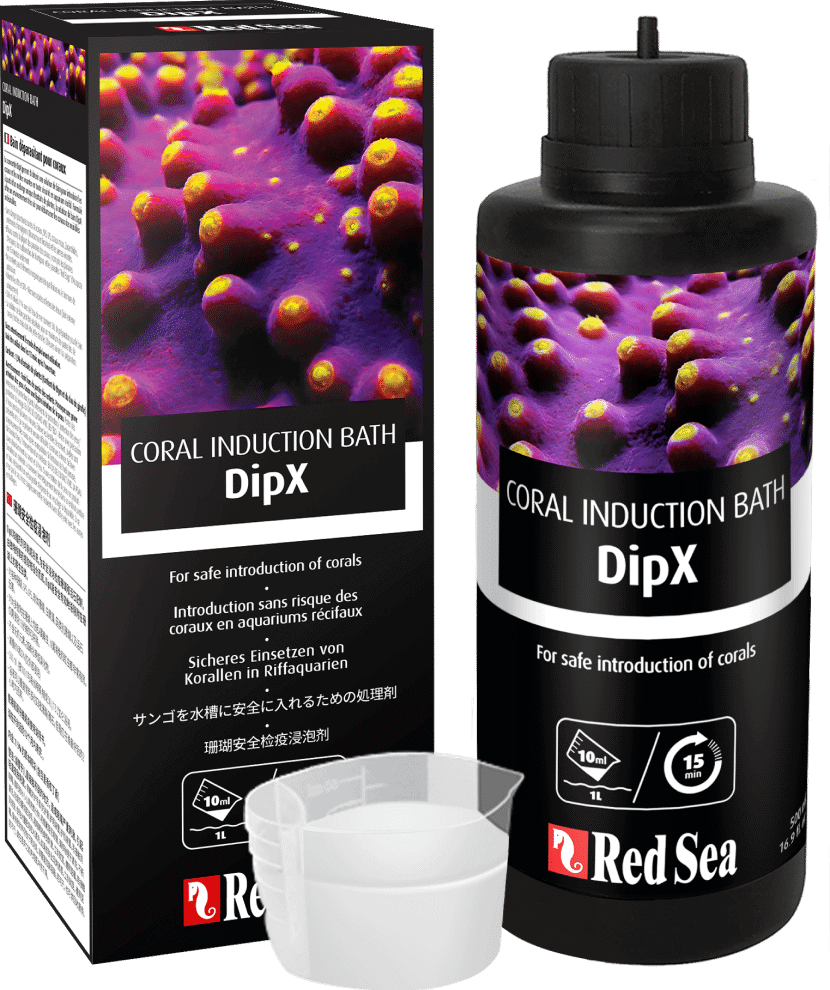Red Sea DipX 500ml
