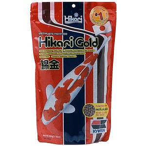 Hikari Gold – Goldfish and Koi