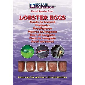 Ocean Nutrition Lobster Eggs- 100g