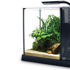 Fluval Betta Premium Aquarium Kit 10l