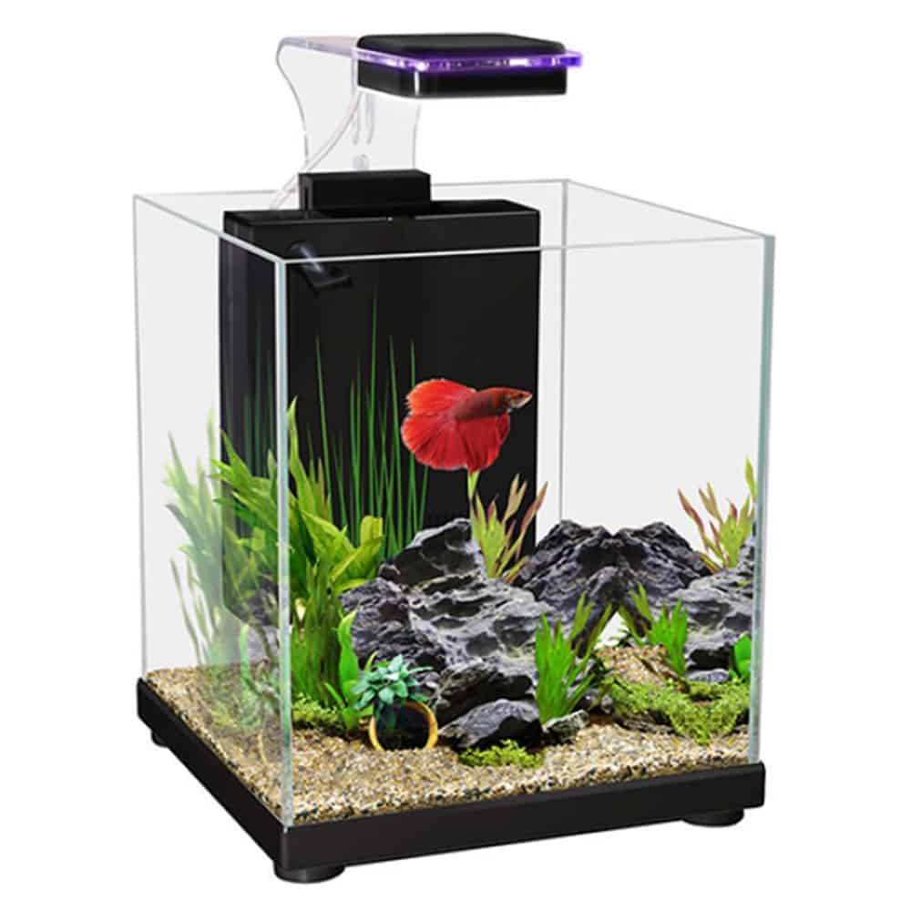 Aqua One Betta Sanctuary - Bespoke Aquariums