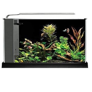 Fluval Spec 5 V2 Aquarium Kit 19L