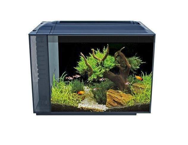 Fluval Spec XV Aquarium Black 60L - Bespoke Aquariums