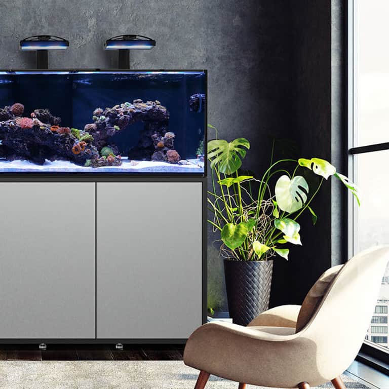 Waterbox Infinia - Bespoke Aquariums