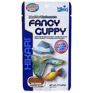 Fancy Guppy – 22g