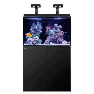 Red Sea MAX E260