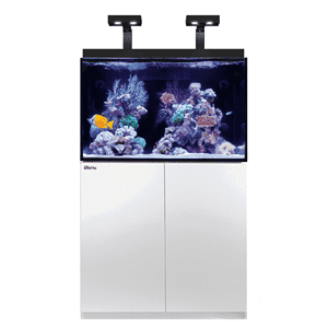 Red Sea MAX E260