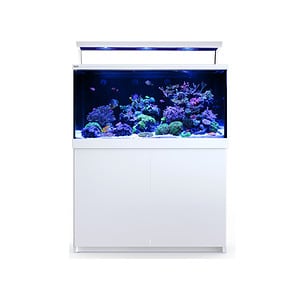 Red Sea MAX S650