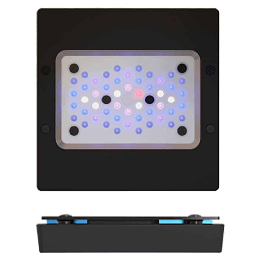 Ecotech Radion XR15 Gen 6 Blue Light - Bespoke Aquariums