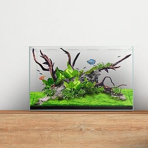 CLEAR MINI