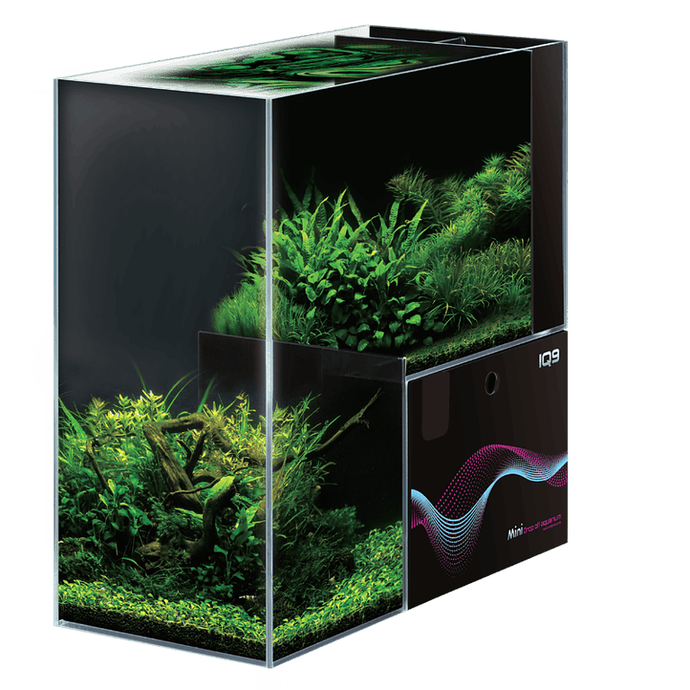 Dymax IQ9 Mini Drop Off Aquarium 48L Freshwater - Bespoke Aquariums