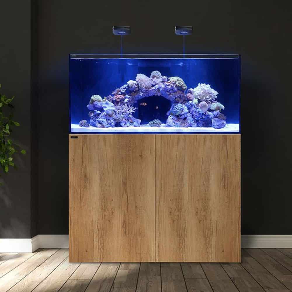 Waterbox Marine X - Image 3