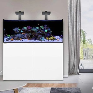 Waterbox Reef Series