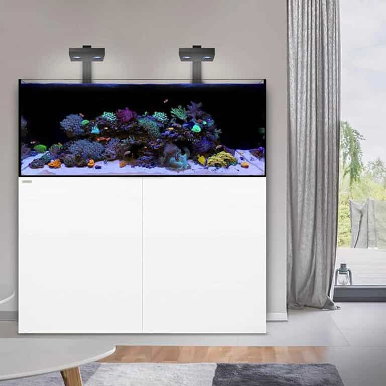 Waterbox Reef Series - Bespoke Aquariums