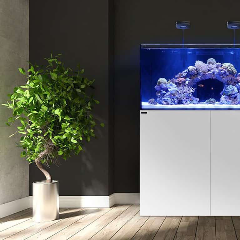 Waterbox Marine X - Bespoke Aquariums