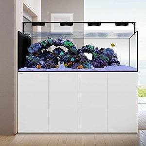 Waterbox Peninsula