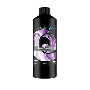 Quantum Sweet Coralline