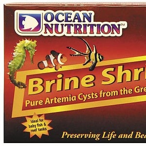 Ocean nutrition shop brine shrimp eggs