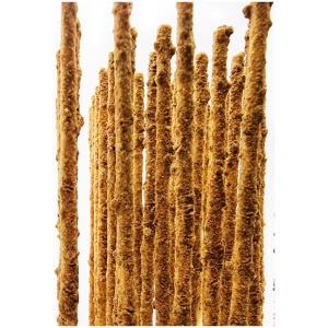 Probiotic Shrimp Pops 10 Pk by SAS