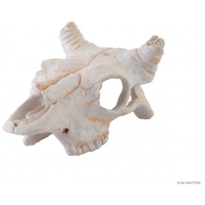Exo Terra Buffalo Skull – Small