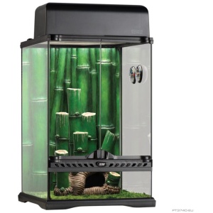 Exo Terra Bamboo Forest Kit 30 X 30 X 45cm