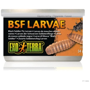 Exo Terra Black Solder Fly Larvae 34g