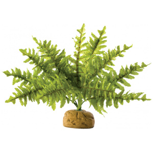 Exo Terra Boston Fern Small 25cm Wide