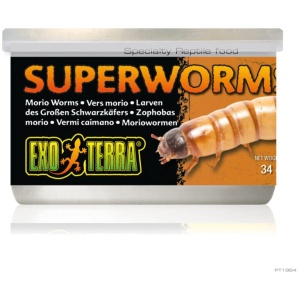 Exo Terra Canned Superworms 34gm