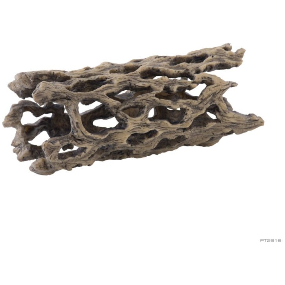 Exo Terra Cholla Cactus Skeleton - Medium