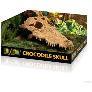 Exo Terra Crocodile Skull – Medium