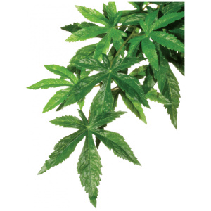 Exo Terra Forest Plant Abutilon Large