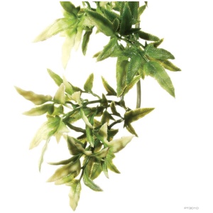 Exo Terra Forest Plant Croton Medium