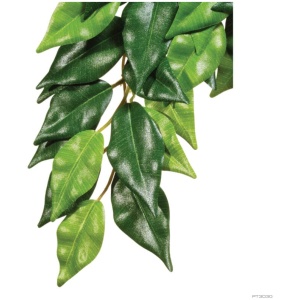 Exo Terra Forest Plant Ficus Large