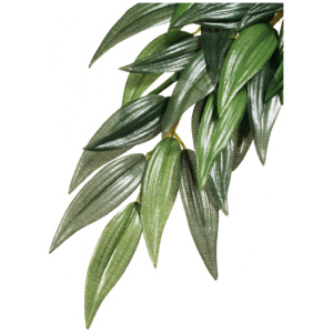Exo Terra Forest Plant Ruscus Medium