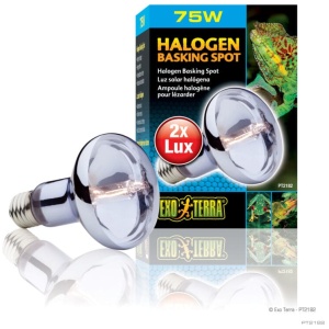 Exo Terra Halogen Basking Spot Lamp 75w