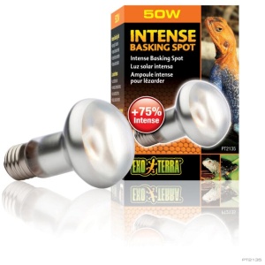 Exo Terra Intense Basking Spot Lamp 50w