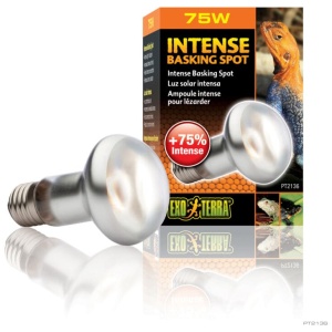 Exo Terra Intense Basking Spot Lamp 75w