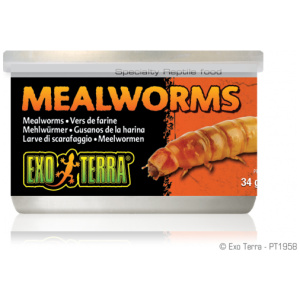 Exo Terra Mealworms 34g