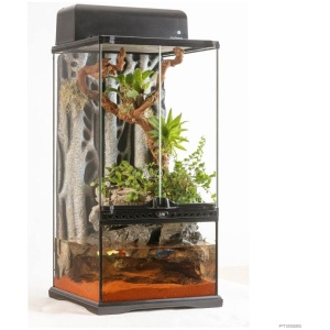 Exo Terra Paludarium Mini Extra Tall 30 X 30 X 60cm