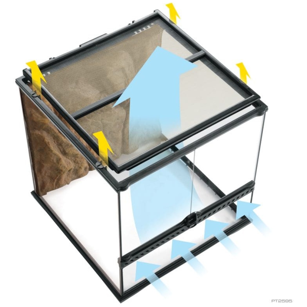 Exo Terra Paludarium Mini Extra Tall 30 X 30 X 60cm - Image 4