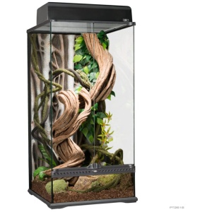 Exo Terra Paludarium Small Extra Tall 45 X 45 X 90cm