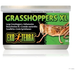 Exo Terra Wild Grasshoppers Xl 34g
