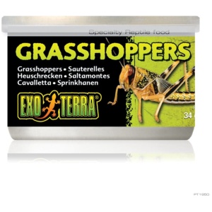 Exo Terra Wild Male Grasshoppers Small 34g
