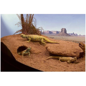 Zoo Med Box Cavern Kit with Excavator 12lb