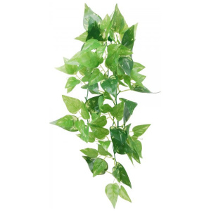 Eco Tech Hanging Honey Ivy 45Cm